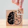 Taller Chemobrain