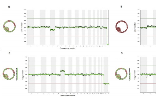 Paternal age is associated with a higher prevalence of mosaic embryo