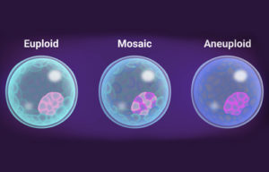 Impact de la technique de biopsie embryonnaire sur la prévalence du mosaïcisme