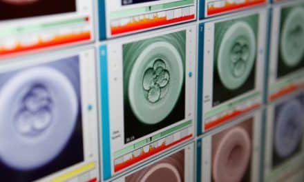 Embryo transfer: Why is one better than two?