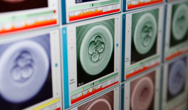 Transferencia de embriones: ¿por qué uno es mejor que dos?