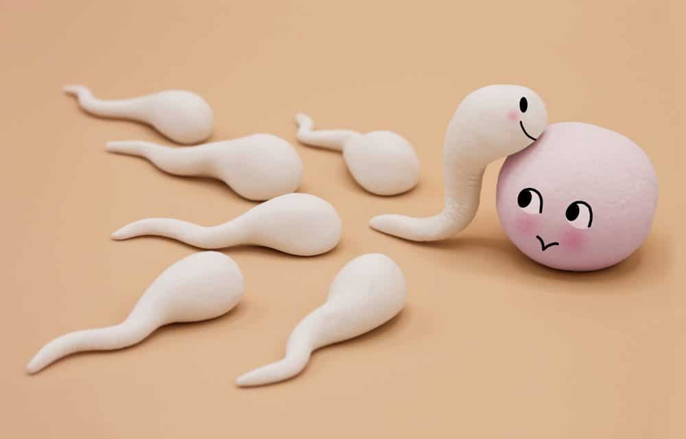 Is sperm quality declining?