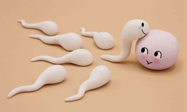 ¿Quieres saber si su esperma «está en forma»…?