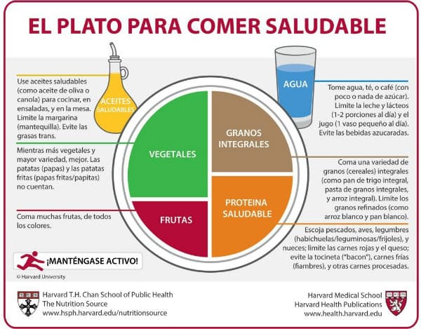 Distribución de alimentos en una dieta equilibrada saludable