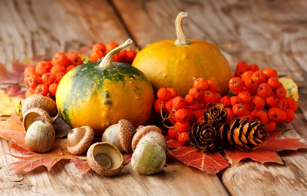 5 alimentos de otoño que cuidan tu salud