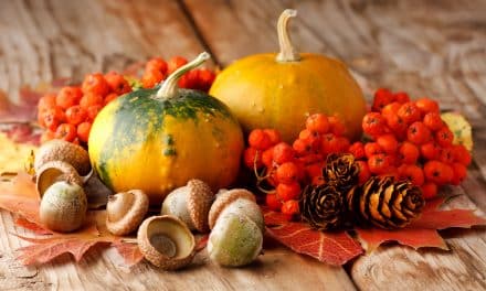 5 alimentos de otoño que cuidan tu salud