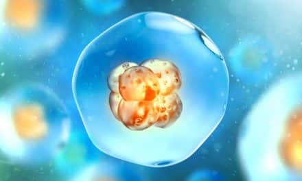 8 dati curiosi sugli embrioni umani