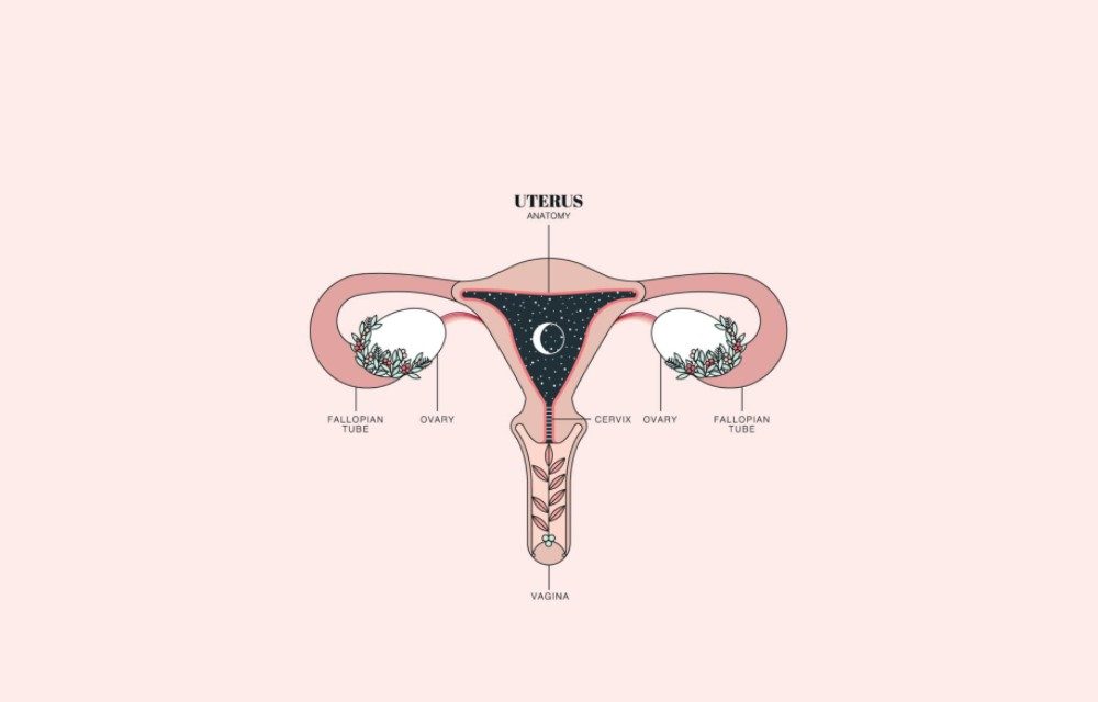 Qué es algo sobre el cuerpo de las mujeres que desearía que todos