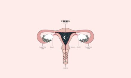 ¿Qué sabes de tu útero?