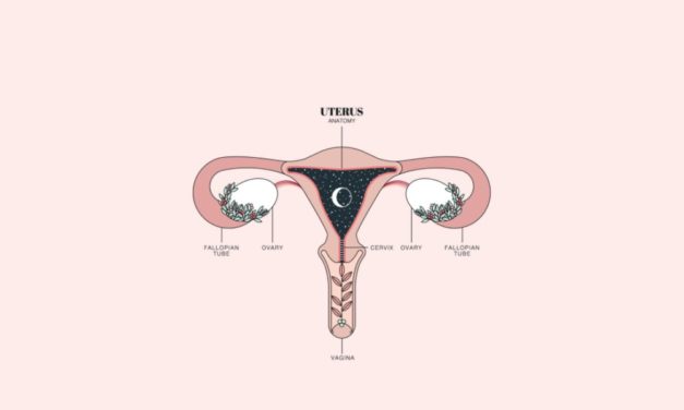 ¿Qué sabes de tu útero?