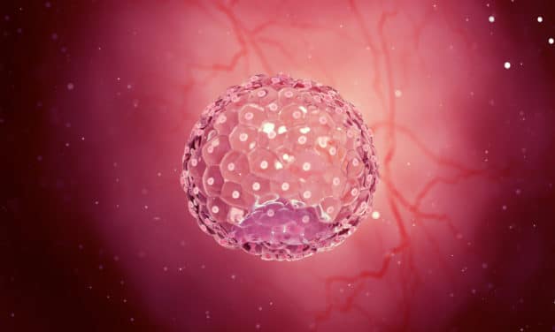 One, two or three? How many embryos to transfer back in the womb?