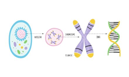 Can genetic abnormalities be avoided?