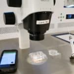 How are embryos, oocytes and sperm samples identified in the lab?
