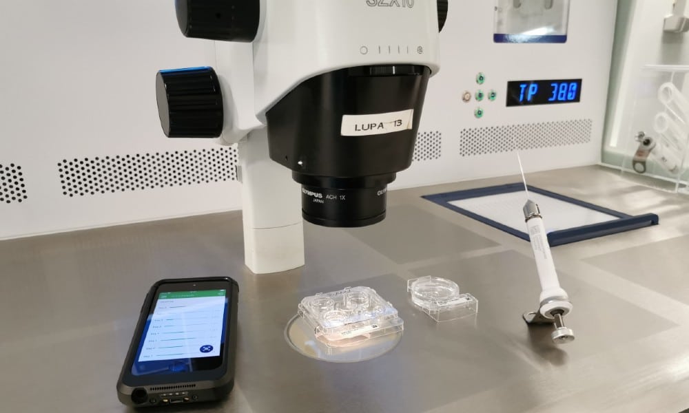¿Cómo se identifican los embriones, los óvulos y las muestras de esperma en el laboratorio?