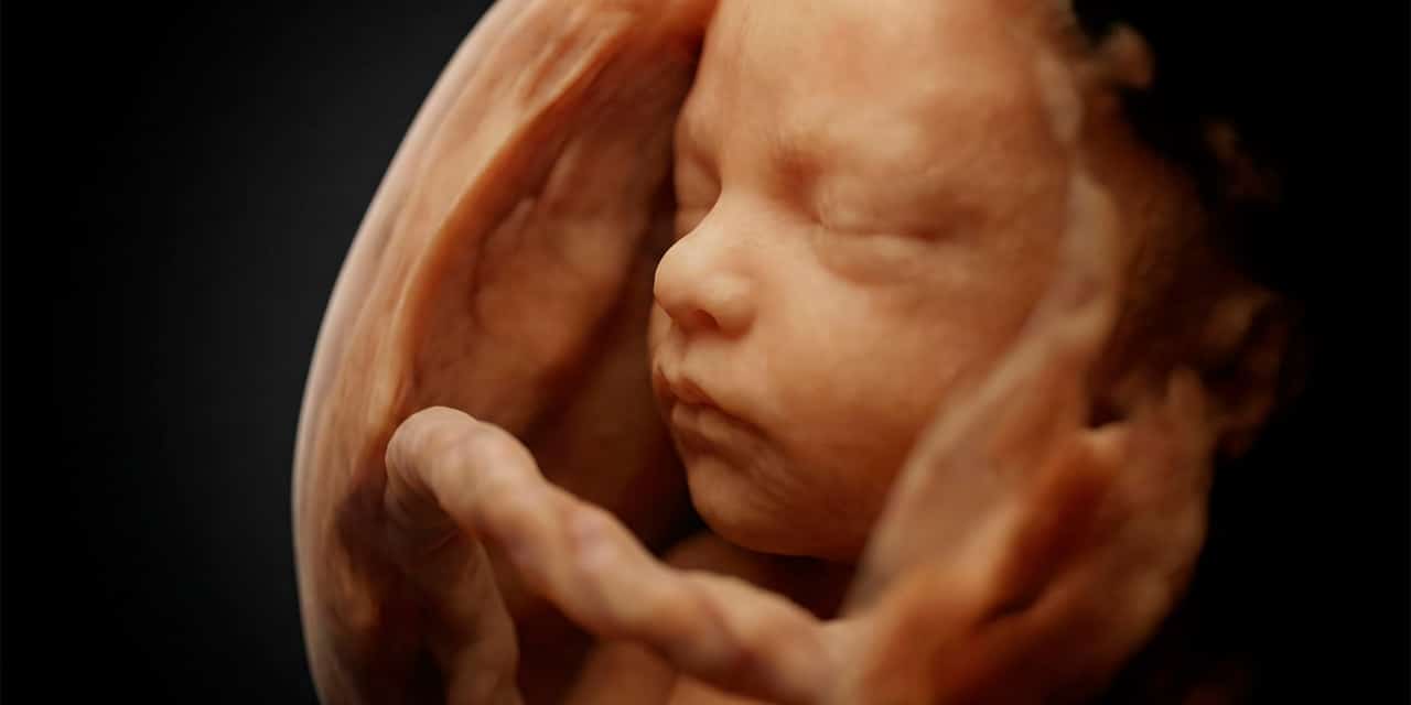 Nacer materno fetal
