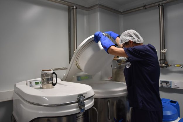 Congelación de embriones