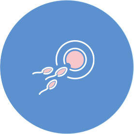 Fertilidad
