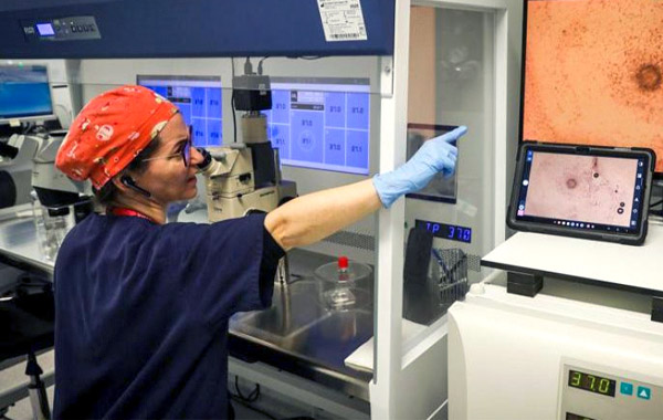 La congelación de óvulos se dispara sin que la ley permita destruir los no usados