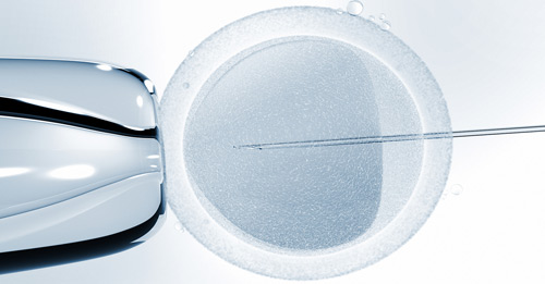 Investigación en embriones humanos