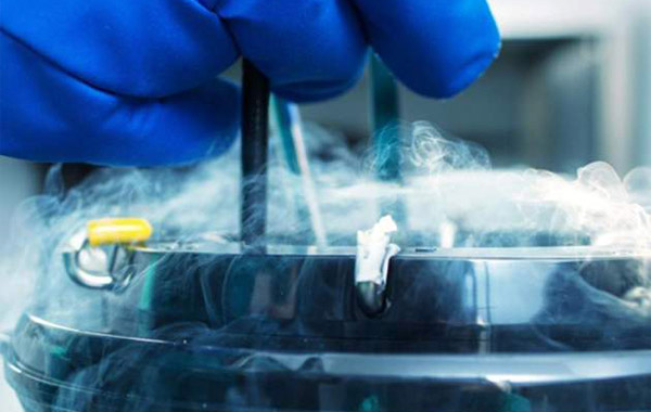 Un estudio muestra que cada vez más mujeres congelan óvulos antes, pero hacerlo a los 35 años es demasiado tarde