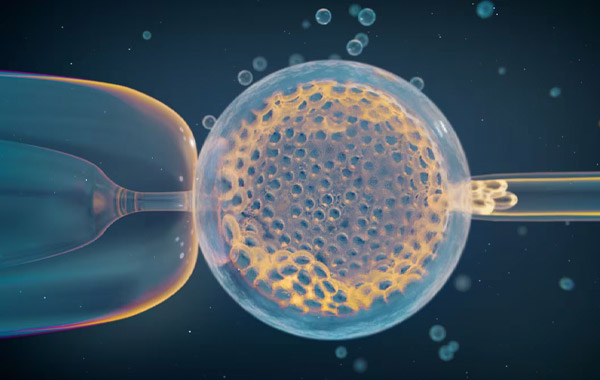 Identificados los factores genéticos que aumentan el riesgo de aborto