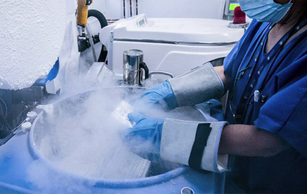 La liofilización del esperma abre la puerta a conservarlo en ambientes extremos