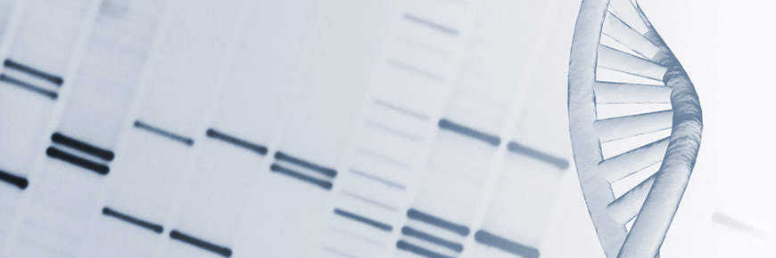 Diagnóstico prenatal molecular (Array CGH) - Precios