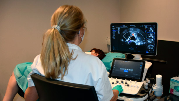 Ecografía ginecológica