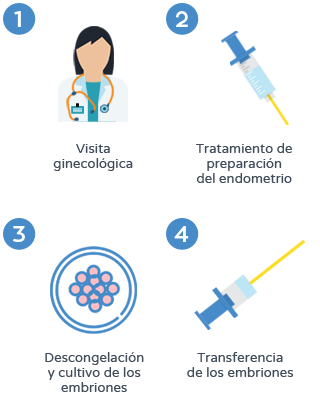 Donación de embriones - Proceso