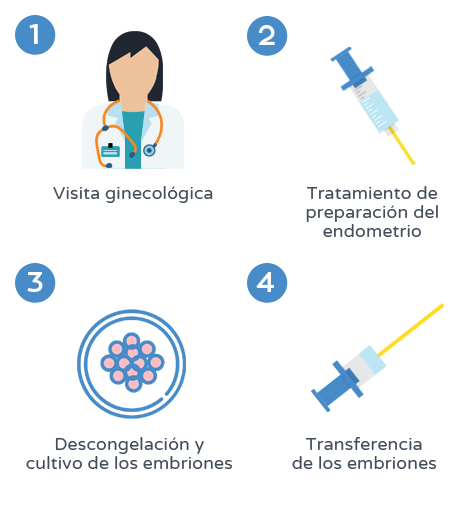 Donación de embriones - Proceso