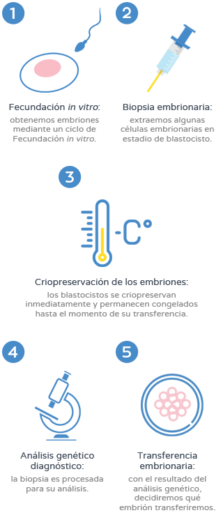 Diagnóstico Genético Preimplantacional (DGP) - Proceso