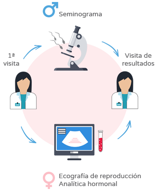 Estudio de fertilidad de la pareja - Proceso
