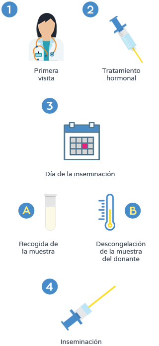Inseminación artificial - Proceso