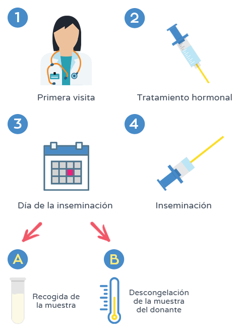 Inseminación artificial - Proceso