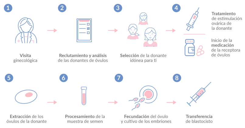Ovodonación - Proceso