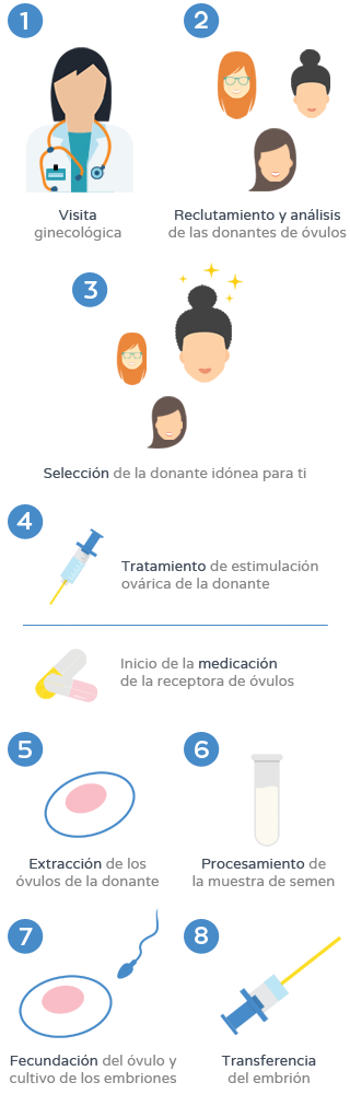 Ovodonación - Proceso