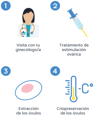 Preservación de la fertilidad - Criopreservación de óvulos