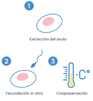 Preservación de la fertilidad - Criopreservación de embriones