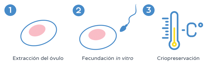Preservación de la fertilidad - Criopreservación de embriones