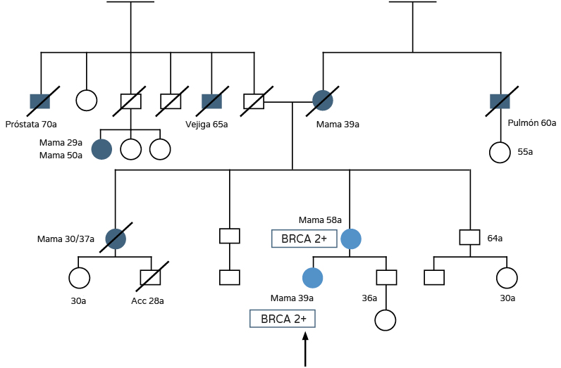 Riesgo oncológico - Árbol familiar