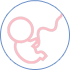 Embarazo - Visitas y controles - Segundo trimestre