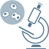 Cáncer ginecológico - Citología
