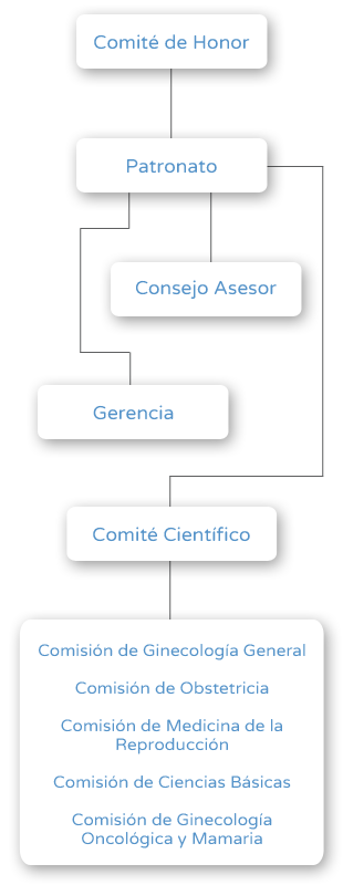 Organigrama Fundación Dexeus Mujer