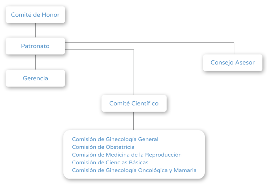 Organigrama Fundación Dexeus Mujer