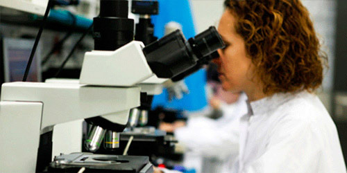 Transferencia de embriones congelados - ¿Qué incluye?