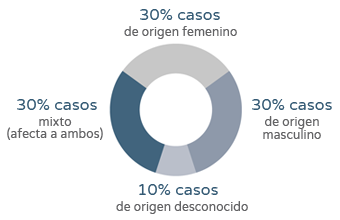 Estudio de fertilidad masculina - Gráfico porcentajes